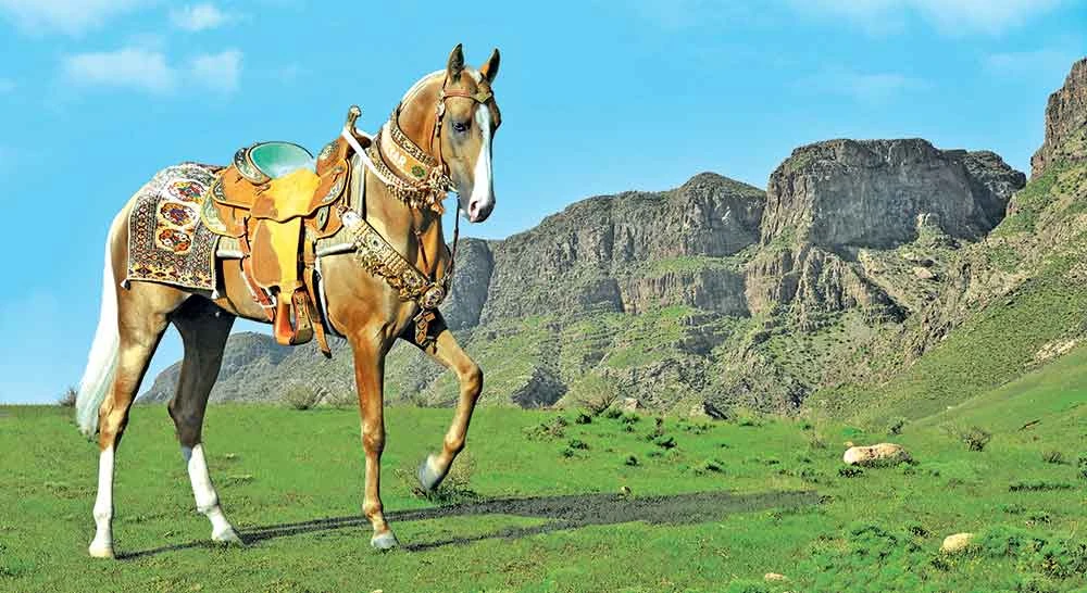 HEAVENLY HORSES – AS A DECORATION OF HOLIDAYS