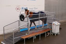 INNOVATIVE TECHNOLOGIES IN TURKMEN HORSE BREEDING